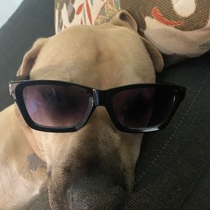 Meet your Posher, Antonio